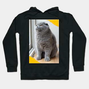 The biue cute cats Hoodie